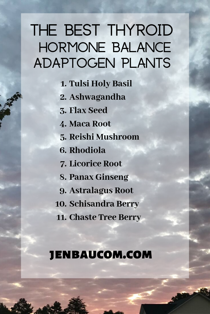 the best thyroid hormone balance adaptogens plants to heal check them out here at jenbaucom.com